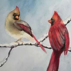 Watercolour - Birds